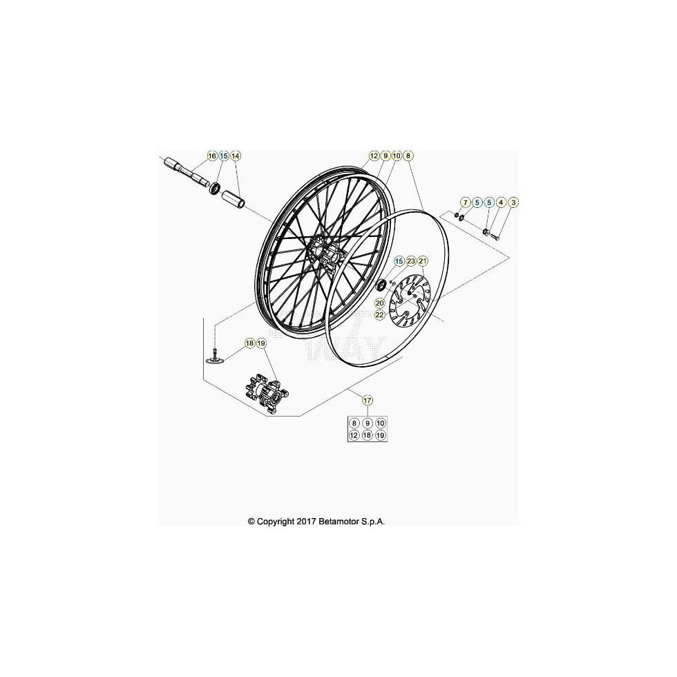 Beta EVO250 25 Vorderrad