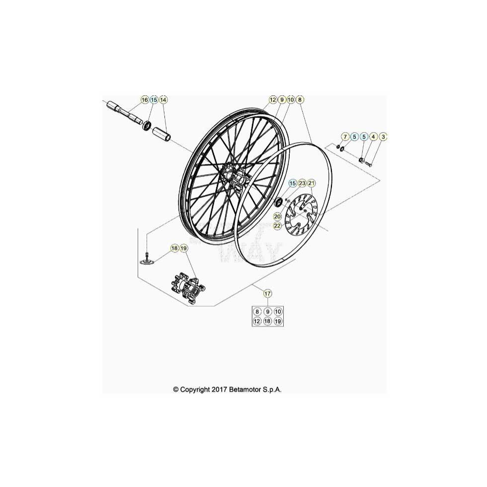 Beta  EVO250 Factory 24 Vorderrad