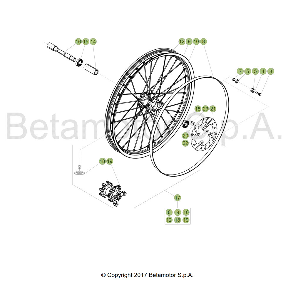 Beta EVO300 SS 19 Vorderrad