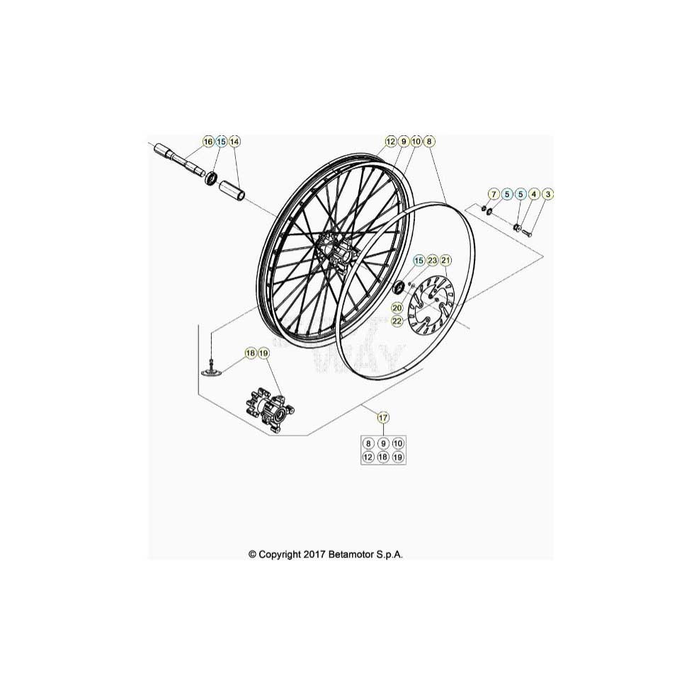 Beta EVO300 SS 24 Vorderrad