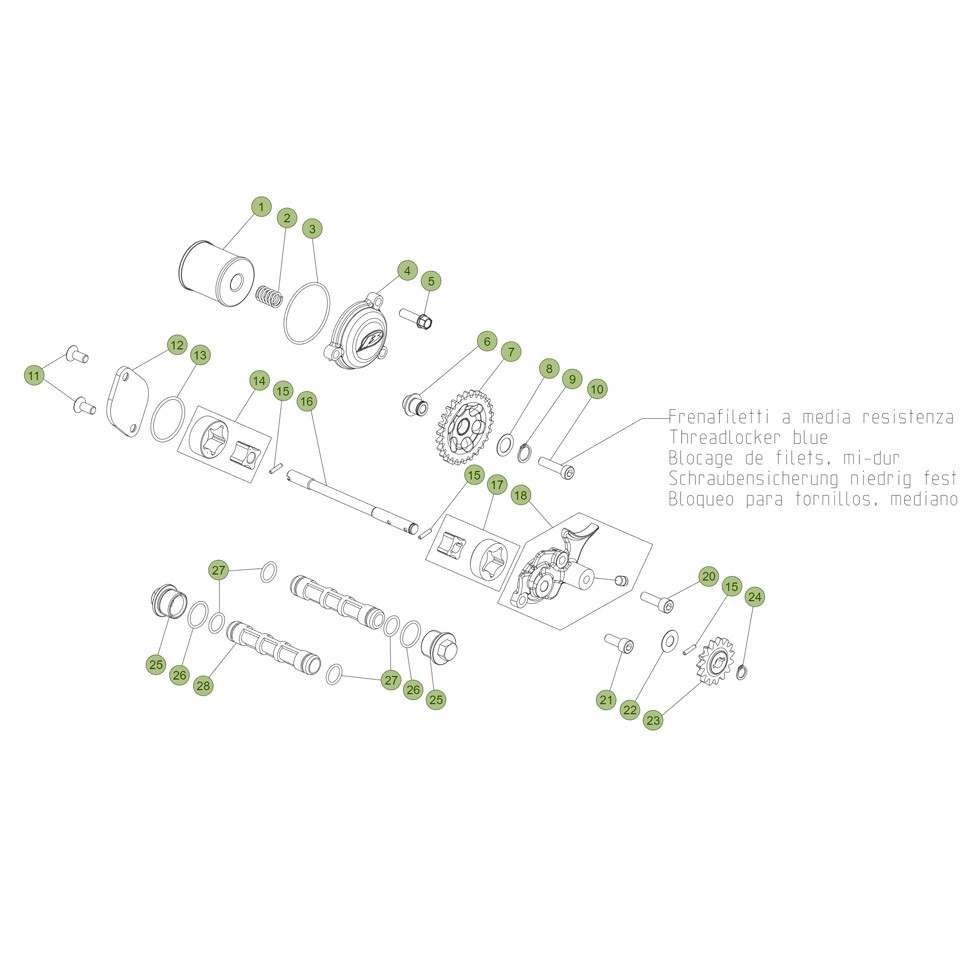 Beta EVO250 4T 16 Schmiersystem