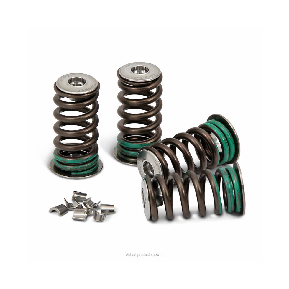 Pro Circuit Valve Spring Ventilfedern Kit KXF250 04-20