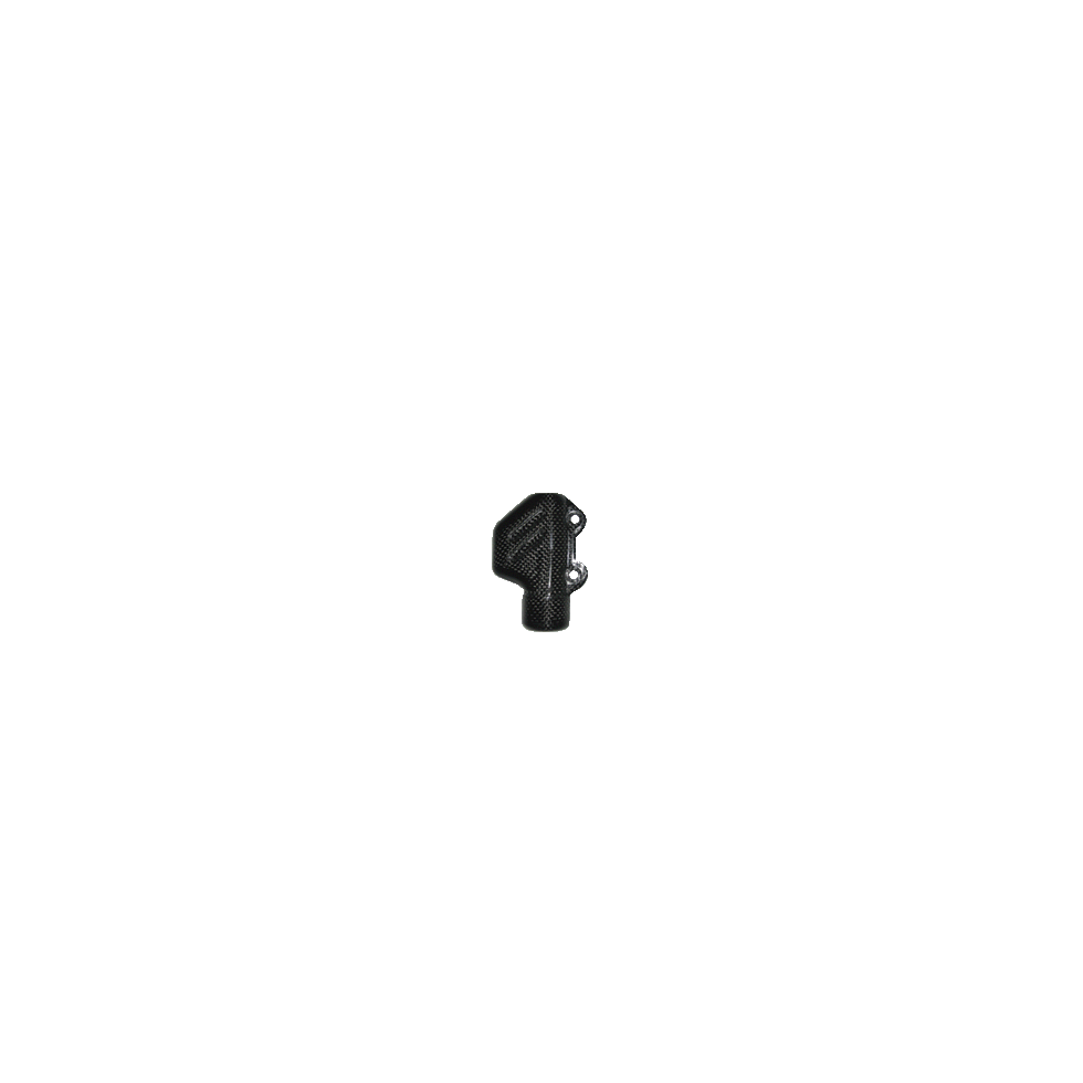 Bremszylinderschutz carbon