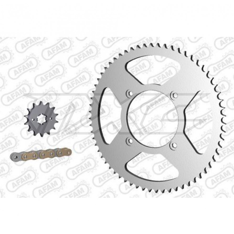AFAM Kettenkit Stahl BETA RR 125 2009-2014