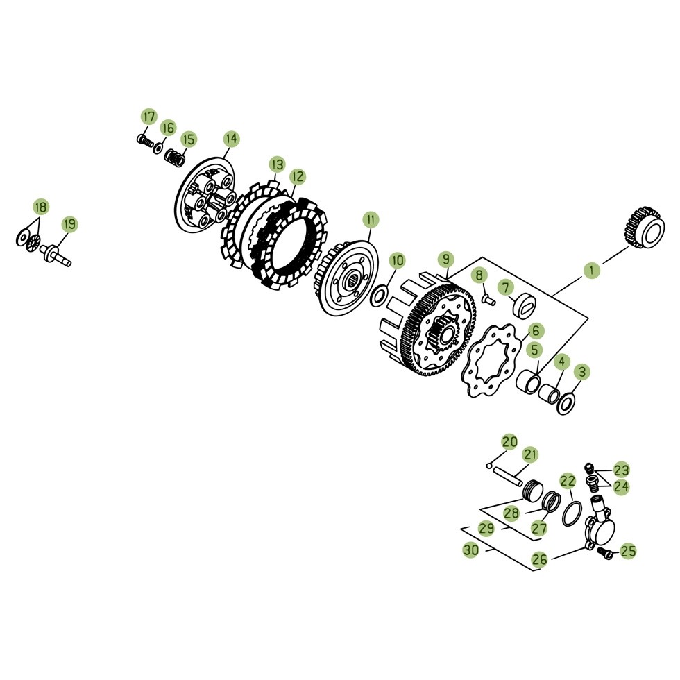 Beta REV3 270 08 Primärtrieb/Kupplung