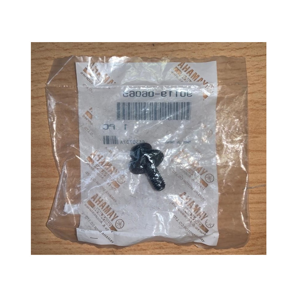 Yamaha OEM BOLT, WITH WASHER (10V)